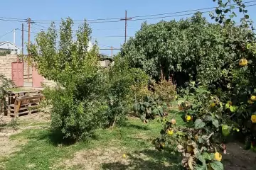 Satılır Bağ Evi Maştağada
