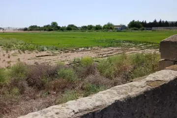 Satılır Torpaq Buzovnada