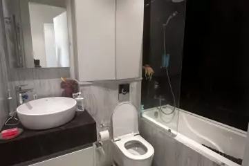 Aylıq Kirayə Yeni Tikili Axundov Bağında
