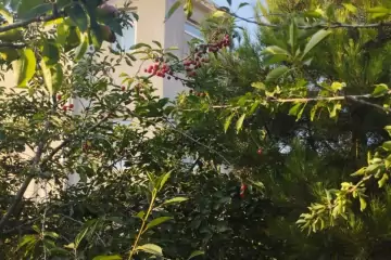 Satılır Həyət Evi Maştağada