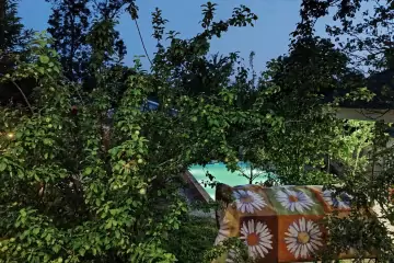 Günlük Kirayə Bağ Evi Vəndam Qəsəbəsində