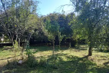 Satılır Bağ Evi Qax Rayonunda