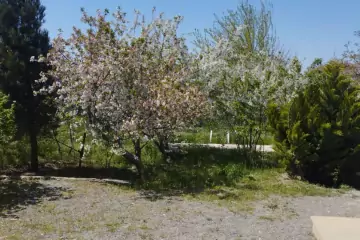 Satılır Həyət Evi Maştağada