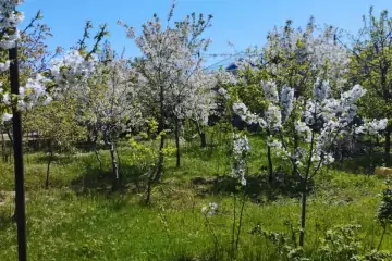 Satılır Həyət Evi Maştağada