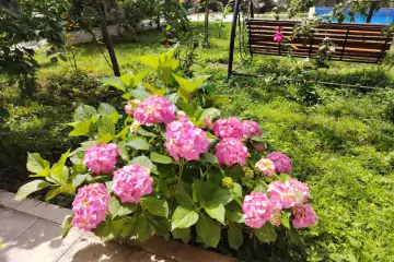 Günlük Kirayə Bağ Evi Vəndam Qəsəbəsində
