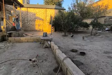 Satılır Torpaq Masazırda