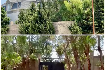 Satılır Bağ Evi Qalada 