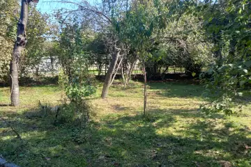 Satılır Bağ Evi Qax Rayonunda