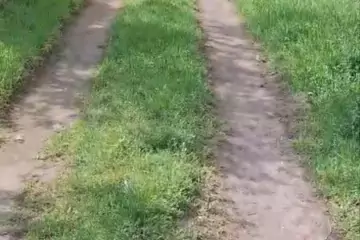Satılır Torpaq Biləcəridə