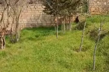 Satılır Torpaq Biləcəridə