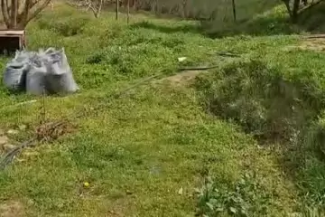 Satılır Torpaq Biləcəridə 