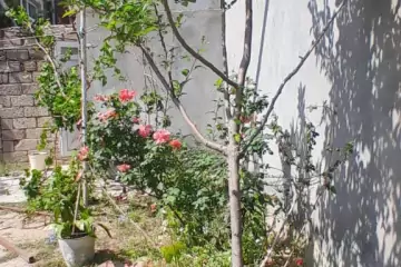 Satılır Həyət Evi Maştağada