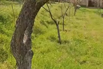Satılır Torpaq Biləcəridə