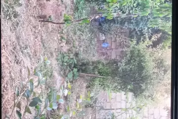 Satılır Həyət Evi Fatmayıda