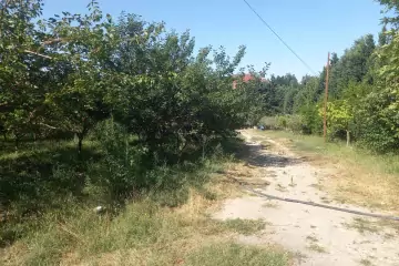 Satılır Bağ Evi Novxanıda