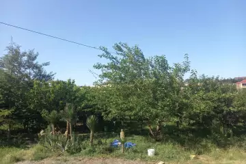 Satılır Bağ Evi Novxanıda