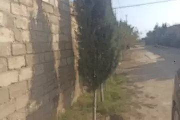 Satılır Torpaq Zirədə 