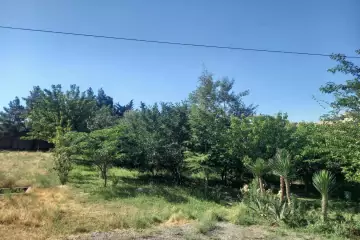 Satılır Bağ Evi Novxanıda