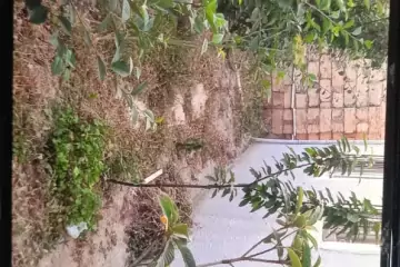 Satılır Həyət Evi Fatmayıda