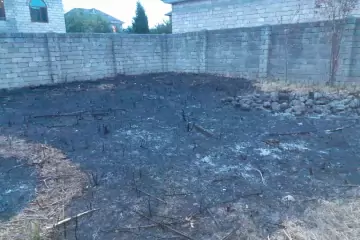 Satılır Torpaq Lənkəranda