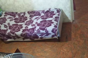 Aylıq Kirayə Həyət Evi Yasamalda