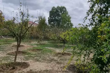 Satılır Bağ Evi Buzovnada