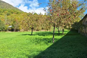 Satılır Torpaq Qəbələ şəhərində