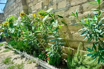 Satılır Həyət Evi Yasamalda