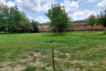 Satılır Torpaq Qəbələ şəhərində