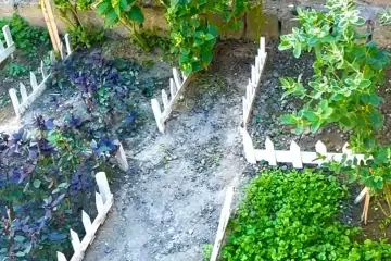 Satılır Həyət Evi Yasamalda