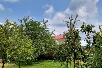 Satılır Torpaq Qəbələ şəhərində
