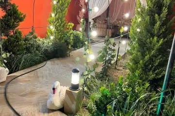 Satılır Bağ Evi Novxanıda