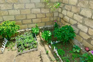 Satılır Həyət Evi Yasamalda