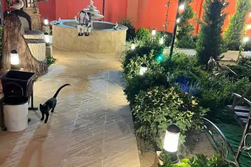 Satılır Bağ Evi Novxanıda