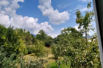 Satılır Torpaq Qəbələ şəhərində