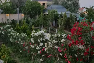 Satılır Həyət Evi Novxanıda