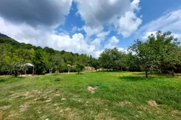 Satılır Torpaq Qəbələ şəhərində