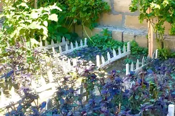 Satılır Həyət Evi Yasamalda