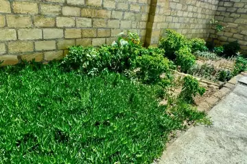 Satılır Həyət Evi Yasamalda