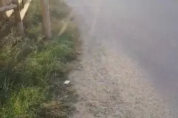 Satılır Həyət Evi Savalan Qəsəbəsida