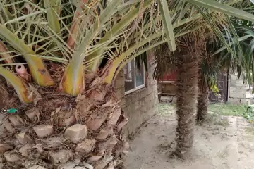 Satılır Həyət Evi Savalan Qəsəbəsida