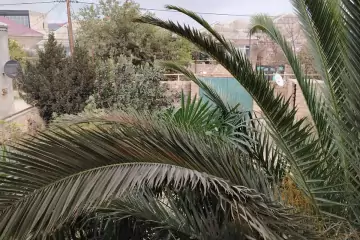 Satılır Həyət Evi Savalan Qəsəbəsida