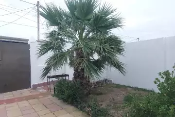 Satılır Həyət Evi Qalada