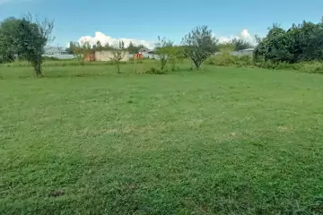 Satılır Torpaq Zaqatala Rayonunda