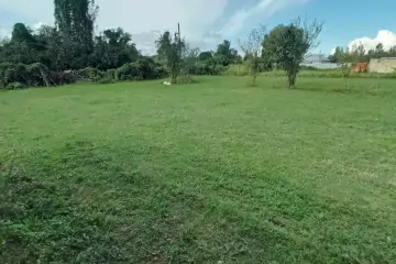 Satılır Torpaq Zaqatala Rayonunda