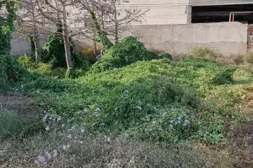 Satılır Torpaq Mərdəkanda