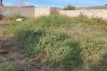 Satılır Torpaq Mərdəkanda