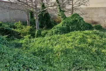 Satılır Torpaq Mərdəkanda