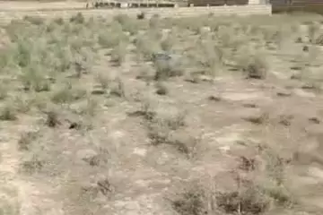Satılır Torpaq Masazırda