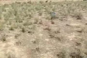Satılır Torpaq Masazırda